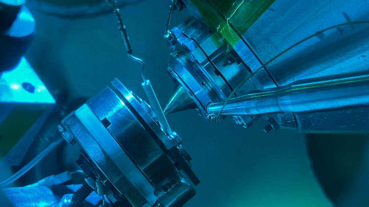 Example News Article